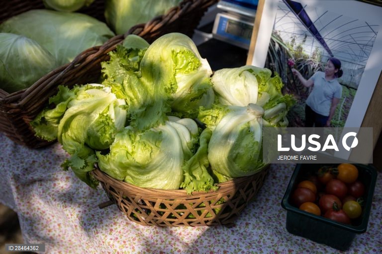 China: Hong Kong opta por consumir produtos frescos locais