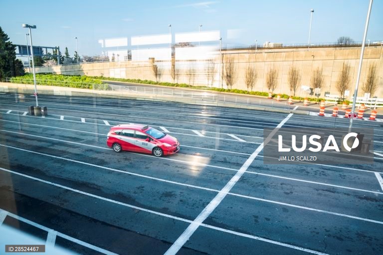 Covid-19: Estados Unidos da América