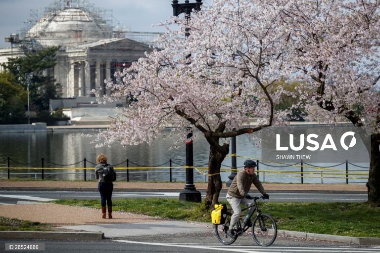 Covid-19: Estados Unidos da América