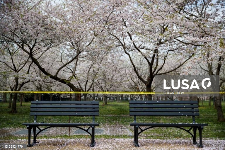 Covid-19: Estados Unidos da América