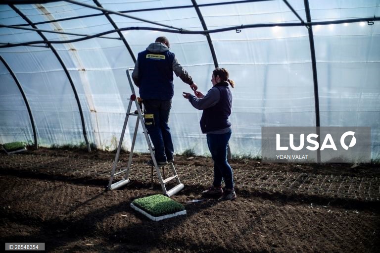 França: Produção de flores no sul de Paris