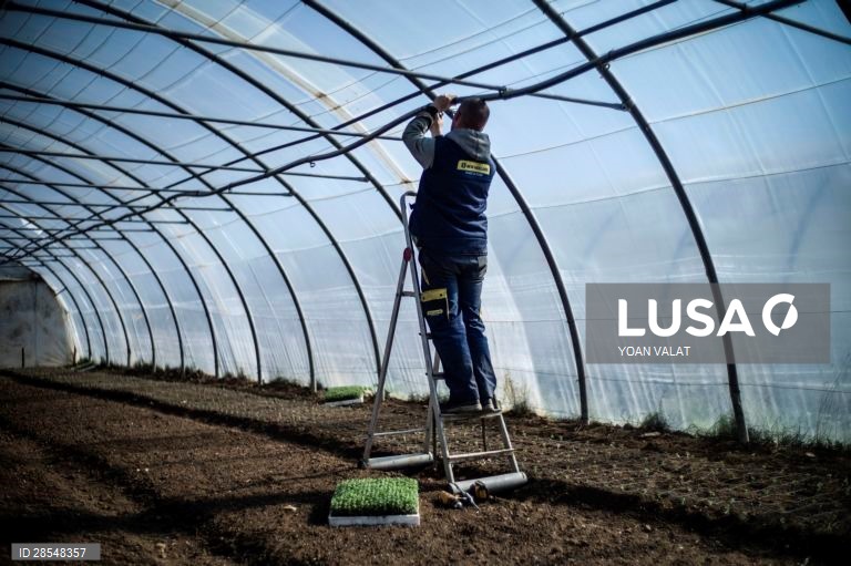 França: Produção de flores no sul de Paris
