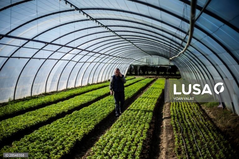 França: Produção de flores no sul de Paris