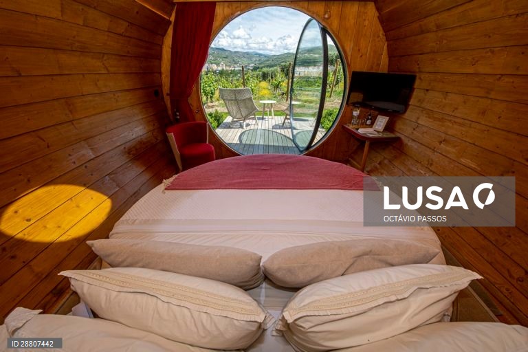 Covid-19: Douro está a preparar a reabertura ao turismo