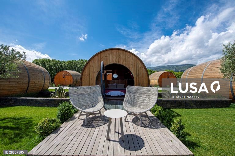 Covid-19: Douro está a preparar a reabertura ao turismo