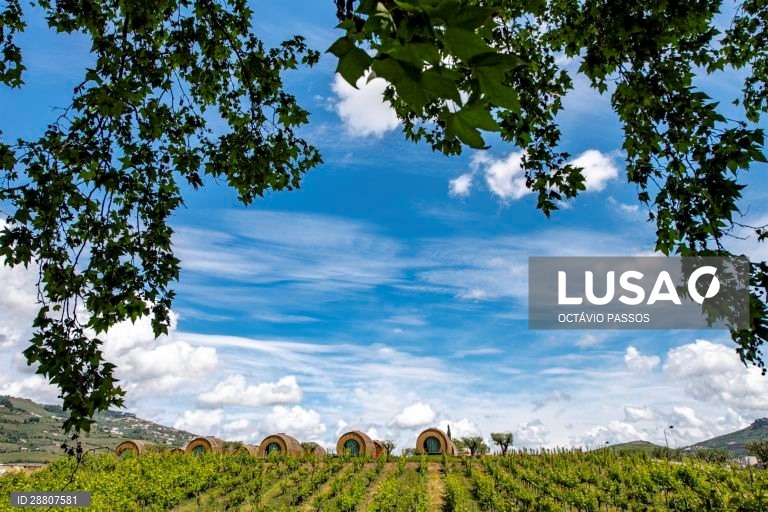 Covid-19: Douro está a preparar a reabertura ao turismo