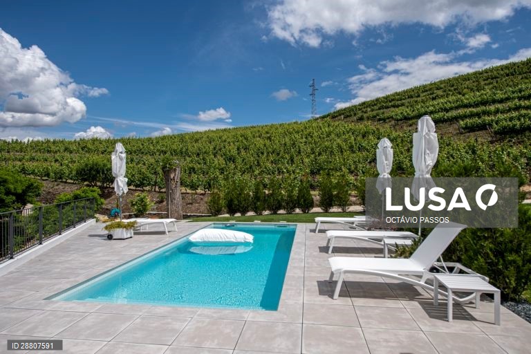 Covid-19: Douro está a preparar a reabertura ao turismo