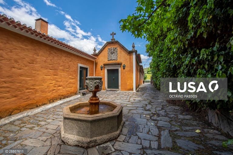 Covid-19: Douro está a preparar a reabertura ao turismo