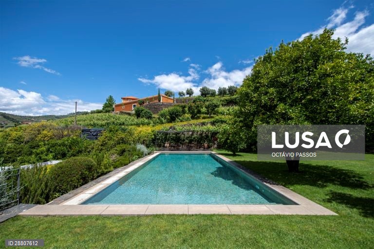 Covid-19: Douro está a preparar a reabertura ao turismo