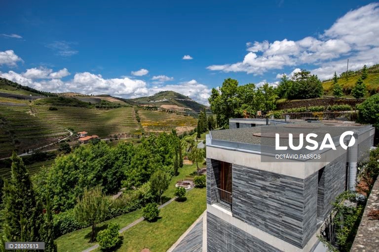 Covid-19: Douro está a preparar a reabertura ao turismo