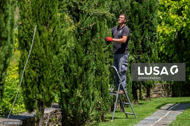 Covid-19: Douro está a preparar a reabertura ao turismo