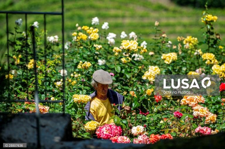 Covid-19: Douro está a preparar a reabertura ao turismo