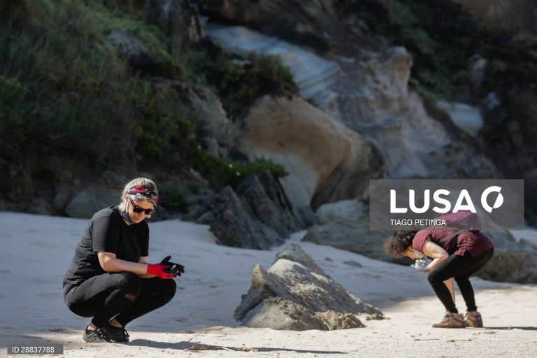 Voluntários da associação ambiental "Oceanos sem Plásticos" fizeram a primeira ação de recolha de lixo e plásticos pós confinamento, na praia do Amanhã em Santa Cruz, Mafra, 17 de maio de 2020. TIAGO PETINGA/LUSA