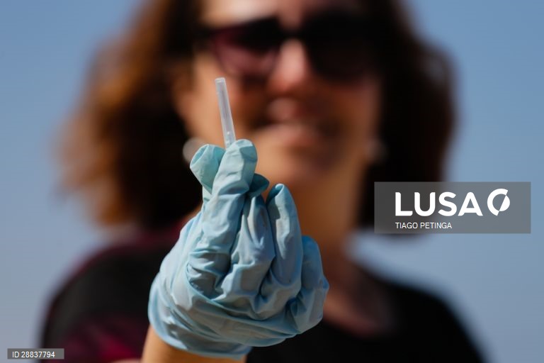 Voluntários da associação ambiental "Oceanos sem Plásticos" fizeram a primeira ação de recolha de lixo e plásticos pós confinamento, na praia do Amanhã em Santa Cruz, Mafra, 17 de maio de 2020. TIAGO PETINGA/LUSA