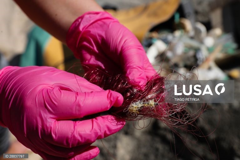 Voluntários da associação ambiental "Oceanos sem Plásticos" fizeram a primeira ação de recolha de lixo e plásticos pós confinamento, na praia do Amanhã em Santa Cruz, Mafra, 17 de maio de 2020. TIAGO PETINGA/LUSA