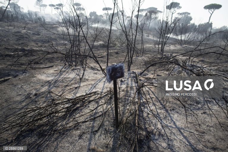 Mundo Colorido: 50 tonalidades de Cinza