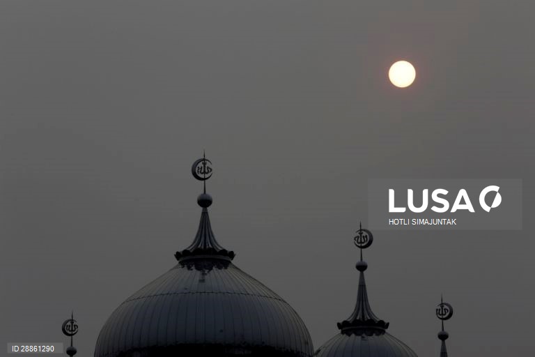 Mundo Colorido: 50 tonalidades de Cinza