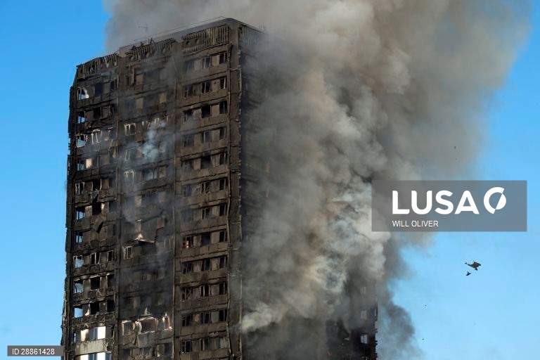 Mundo Colorido: 50 tonalidades de Cinza