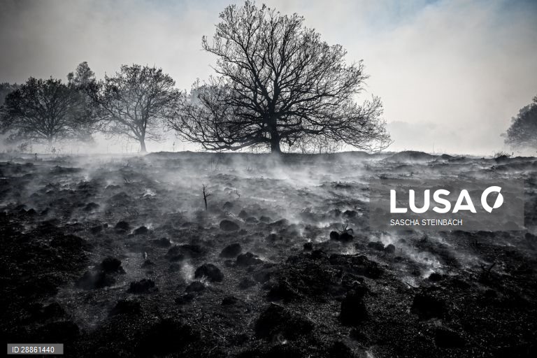 Mundo Colorido: 50 tonalidades de Cinza