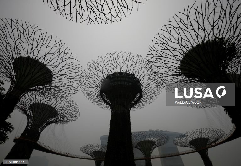 Mundo Colorido: 50 tonalidades de Cinza