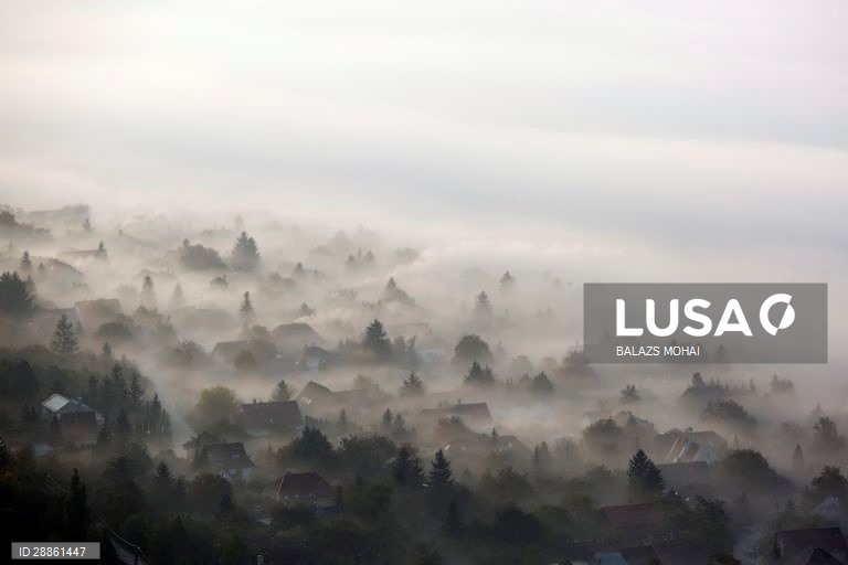 Mundo Colorido: 50 tonalidades de Cinza