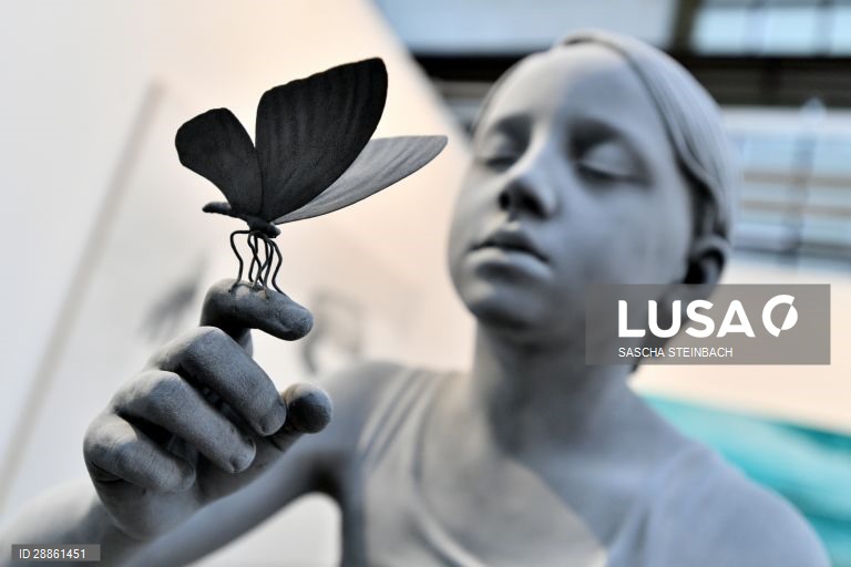 Mundo Colorido: 50 tonalidades de Cinza