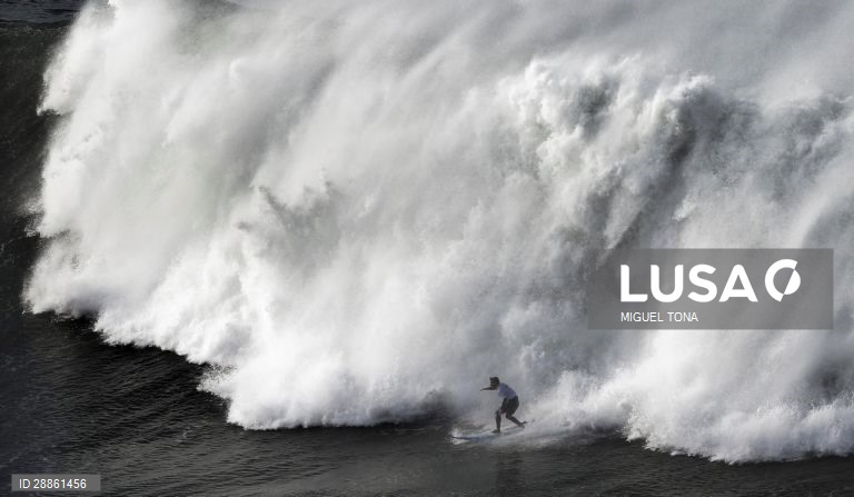 Mundo Colorido: 50 tonalidades de Cinza