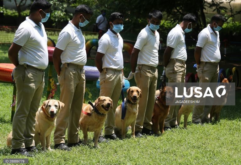 Índia: Cães polícia em Bangalore