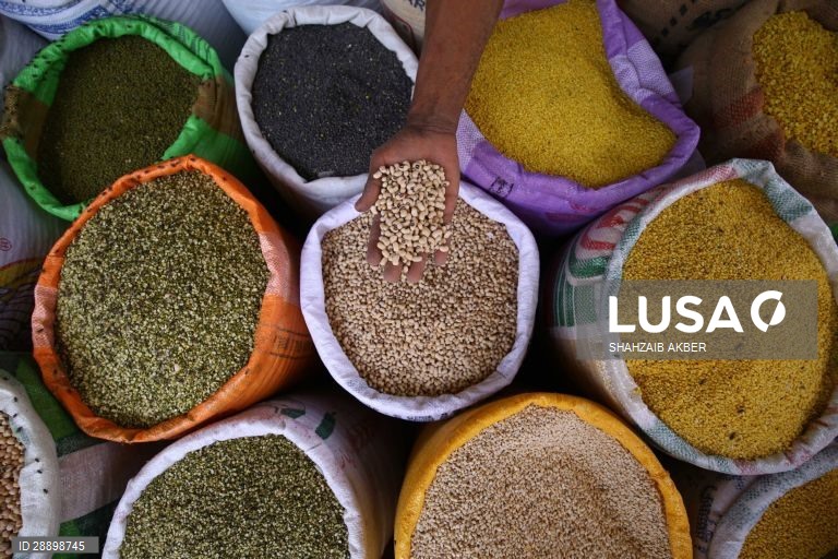 Paquistão: Mercado em Carachi