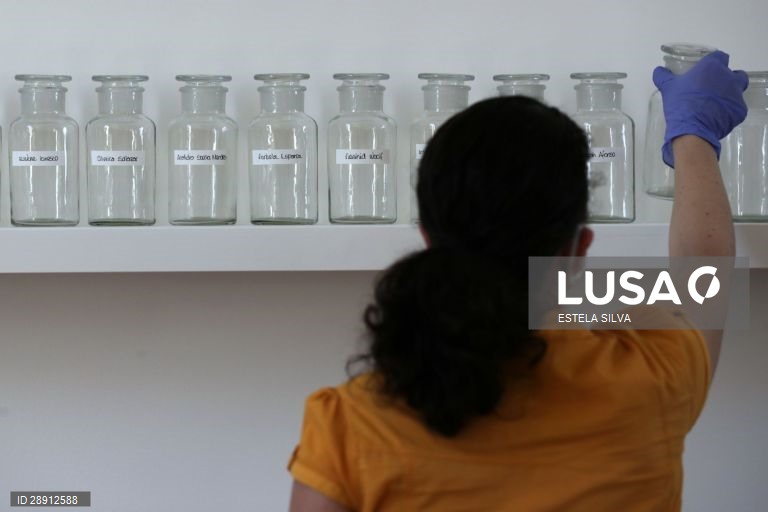 Montagem da exposição de Yoko Ono no Museu de Arte Contemporânea de Serralves, no Porto, 29 de maio de 2020. A exposição é inaugurada no dia 30 de maio. ESTELA SILVA/LUSA