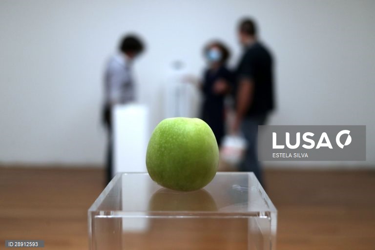 Montagem da exposição de Yoko Ono no Museu de Arte Contemporânea de Serralves, no Porto, 29 de maio de 2020. A exposição é inaugurada no dia 30 de maio. ESTELA SILVA/LUSA