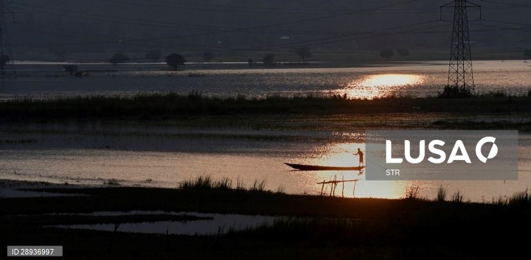 Índia: Cultivo do arroz em Assam