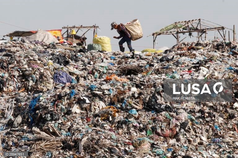 Dia Mundia do Ambiente