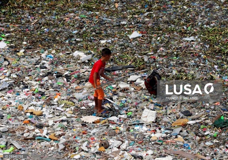 Dia Mundia do Ambiente