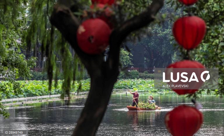 Dia Mundia do Ambiente