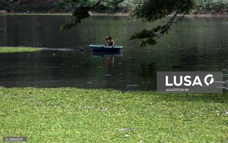 Dia Mundia do Ambiente