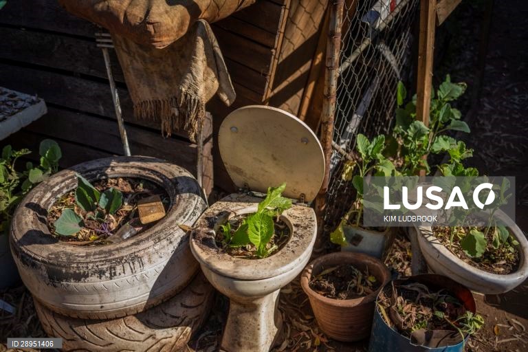 Dia Mundia do Ambiente