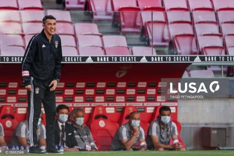 Futebol: Benfica vs Tondela em Lisboa