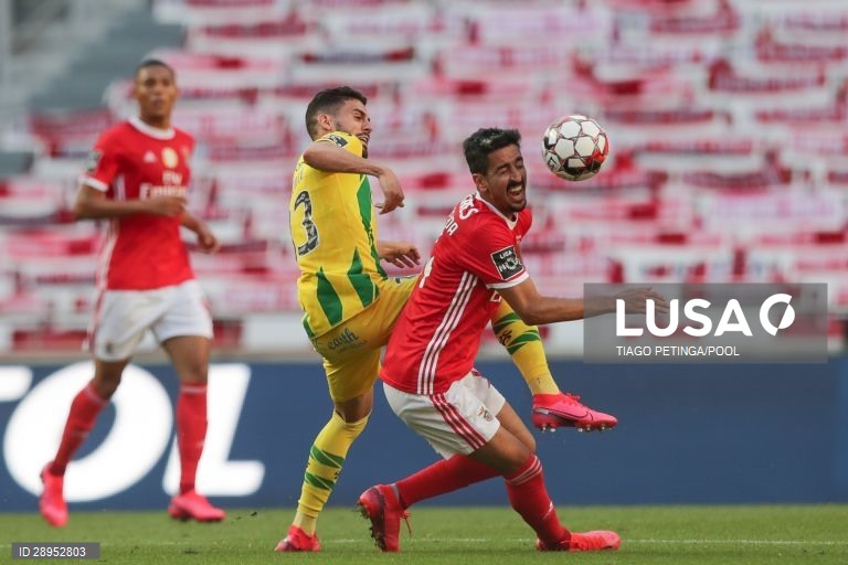 Futebol: Benfica vs Tondela em Lisboa