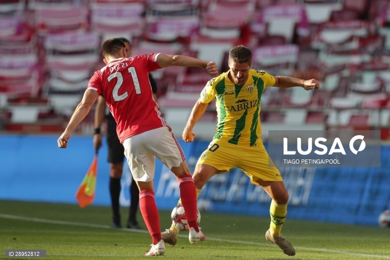 Futebol: Benfica vs Tondela em Lisboa