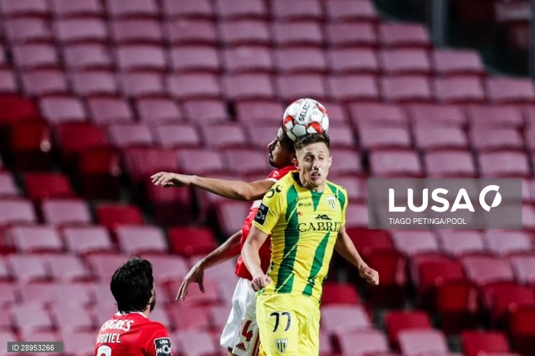 Futebol: Benfica vs Tondela em Lisboa