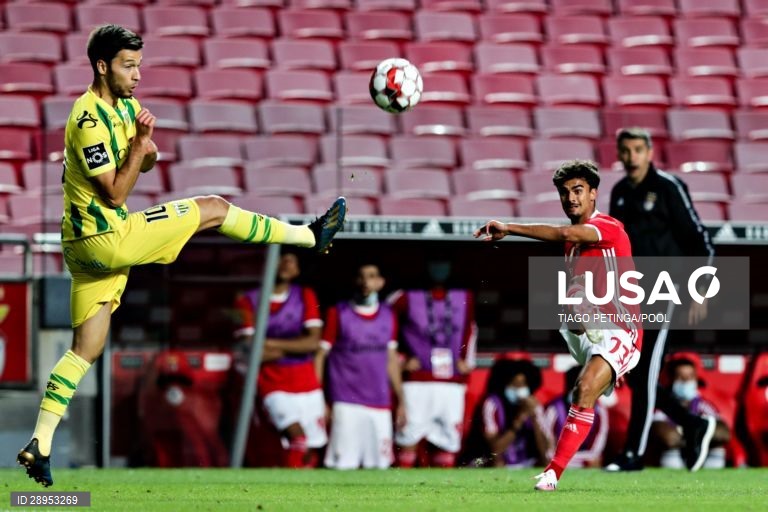 Futebol: Benfica vs Tondela em Lisboa