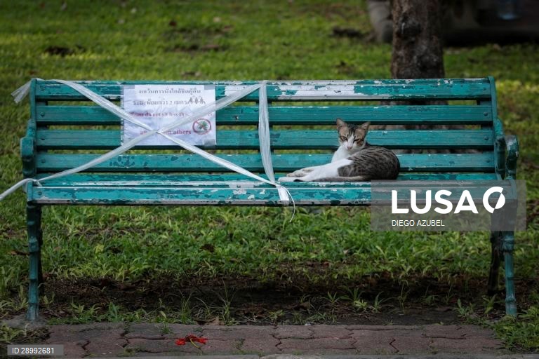 A Tailândia na terceira fase do desconfinamento