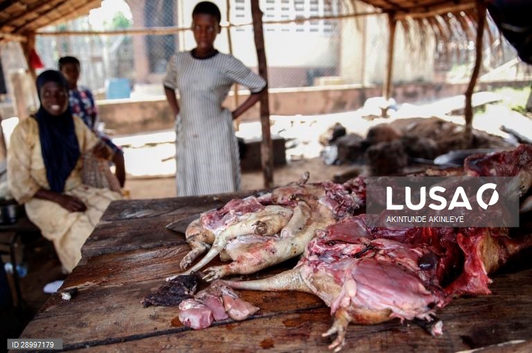 Venda de carne de animais selvagens na África Ocidental
