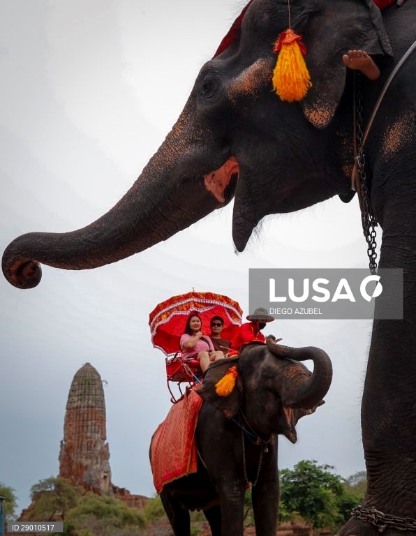 Tailândia: Cidade antiga de Ayutthaya
