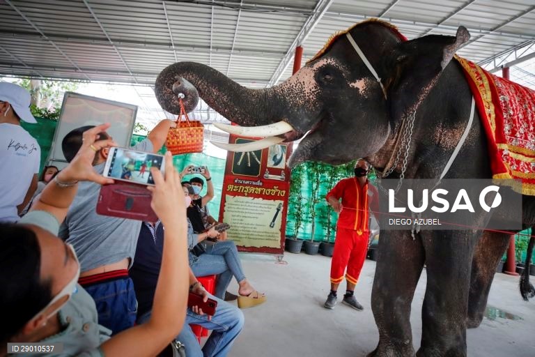 Tailândia: Cidade antiga de Ayutthaya