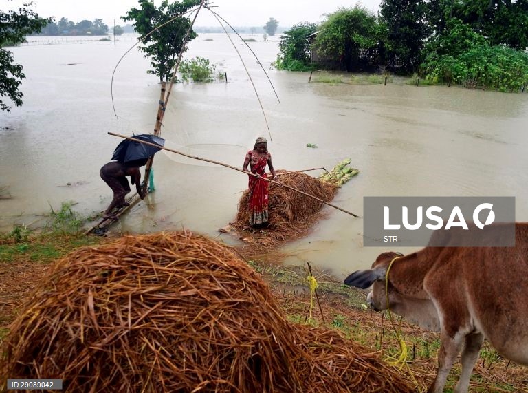 Índia: Inundações na região de Assam