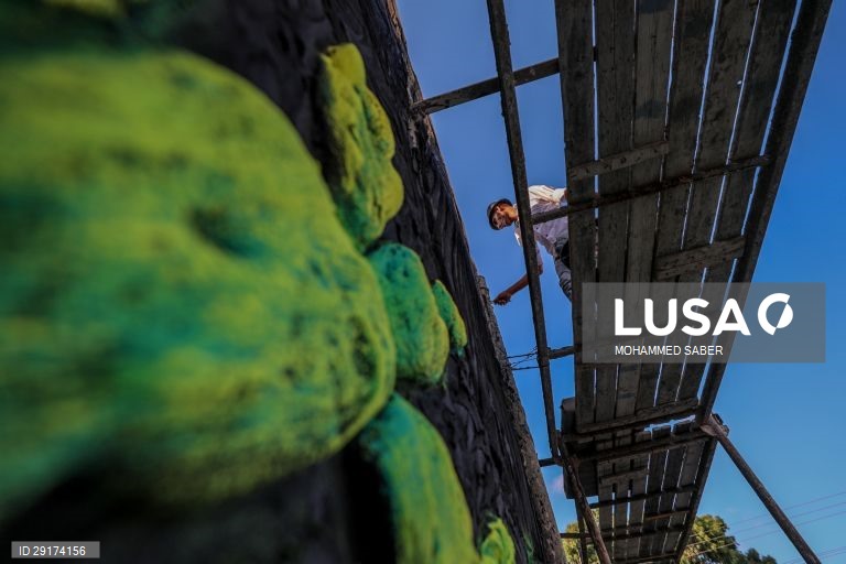 Palestina: artista amputado utiliza casa abandonada em Gaza como estúdio