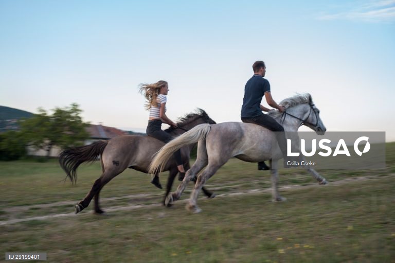 Criação de cavalos na Hungria