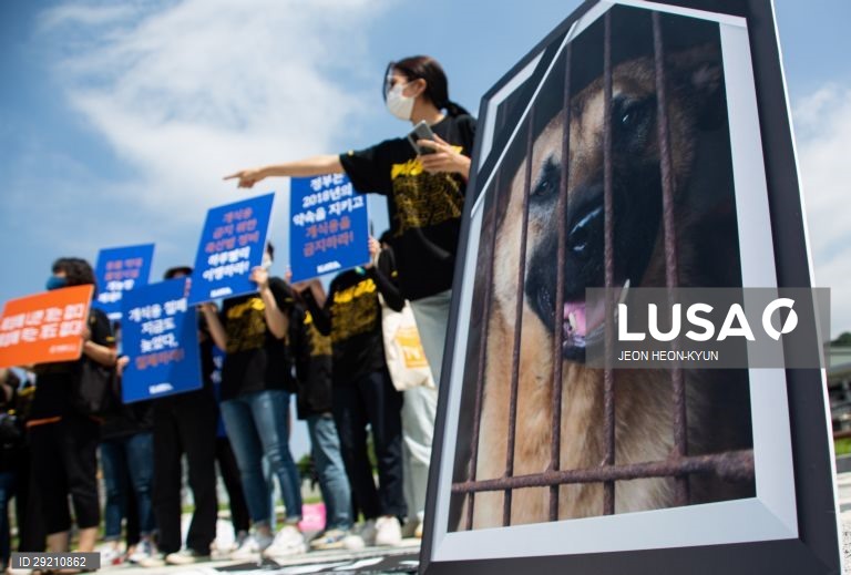 Protesto contra o consumo de carne de cão em Seul